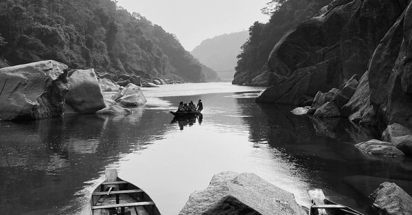 Quel est l'animal domestique le plus propre ?
